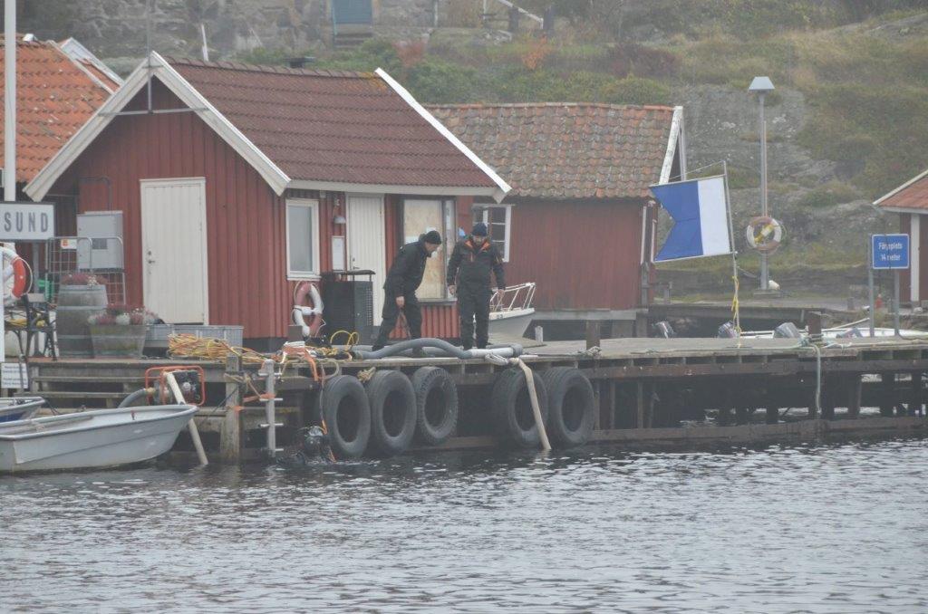 Dykning under bryggan